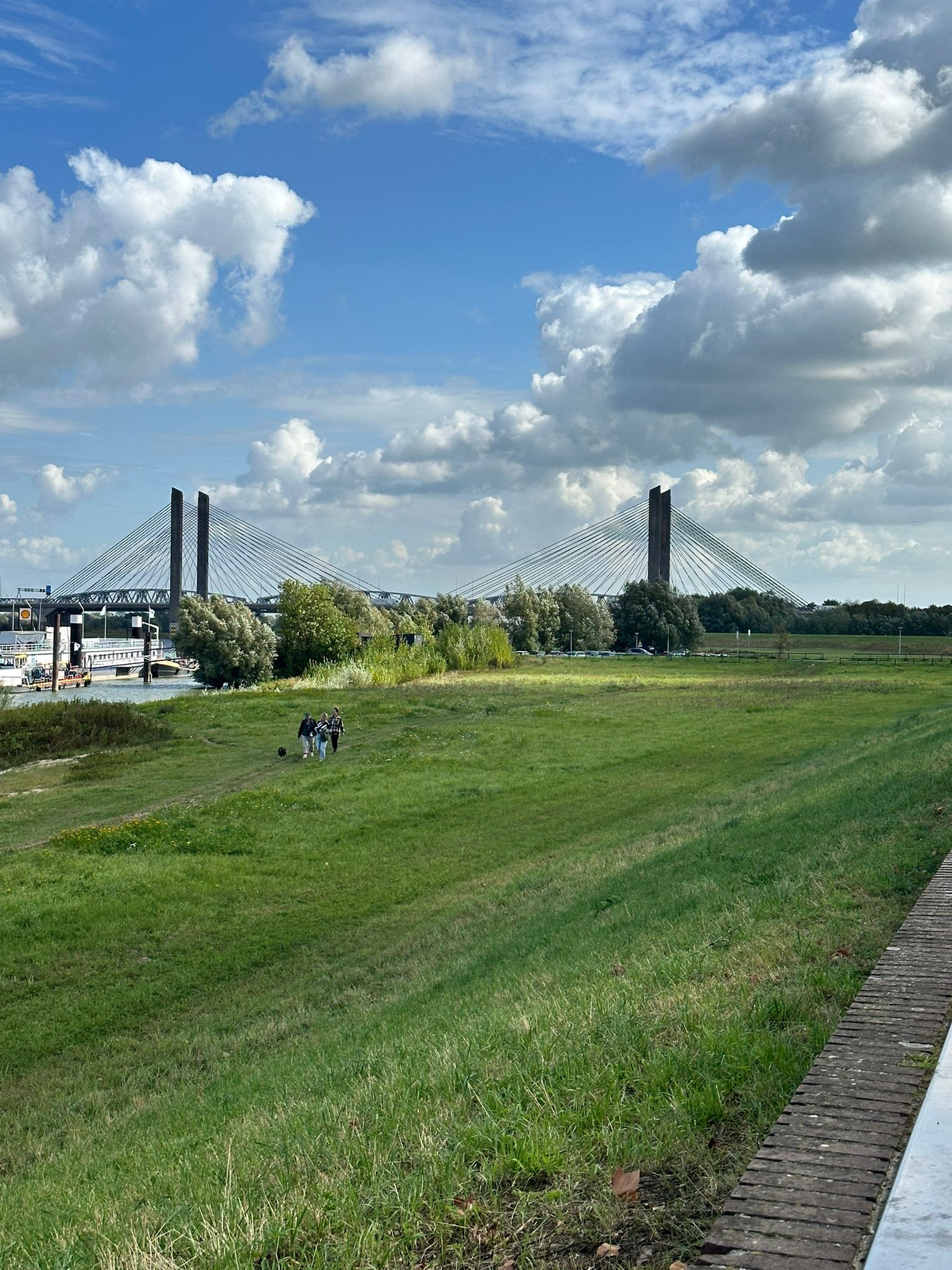 Opnieuw autobrand in Zaltbommel